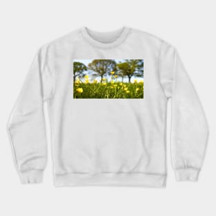 Beautiful Springtime Buttercup Meadow Crewneck Sweatshirt